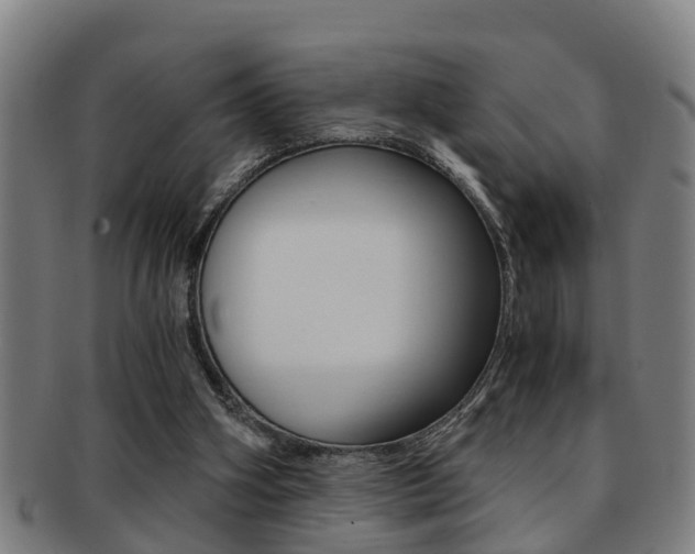 X0000091880106200709051022