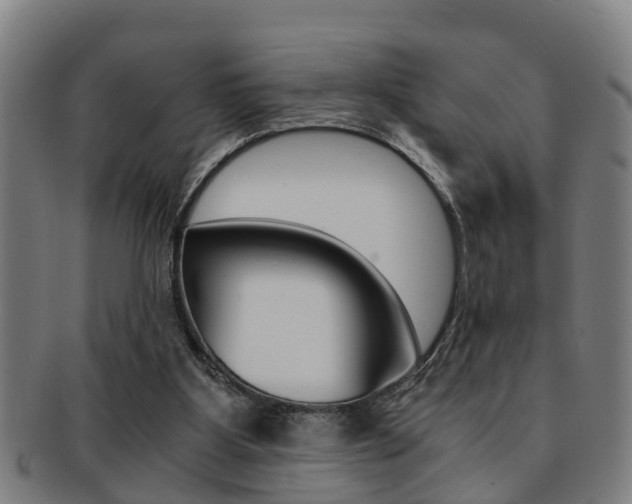 X0000091880107200709051022