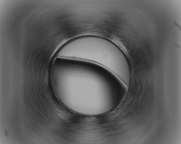 X0000091880108200709051022