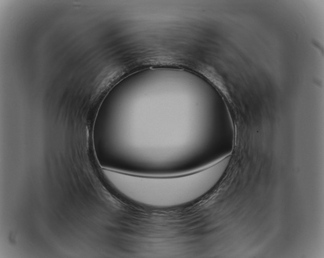 X0000091880109200709051022