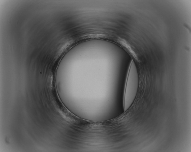 X0000091880110200709051022