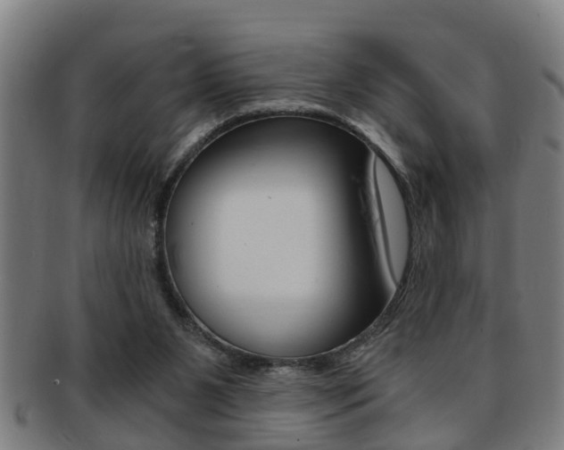 X0000091880111200709051022