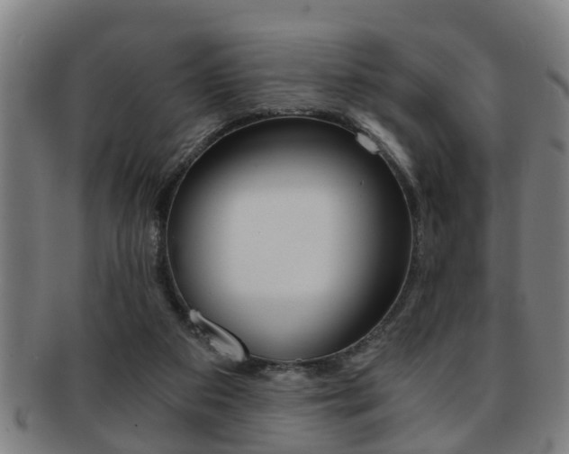 X0000091880113200709051022