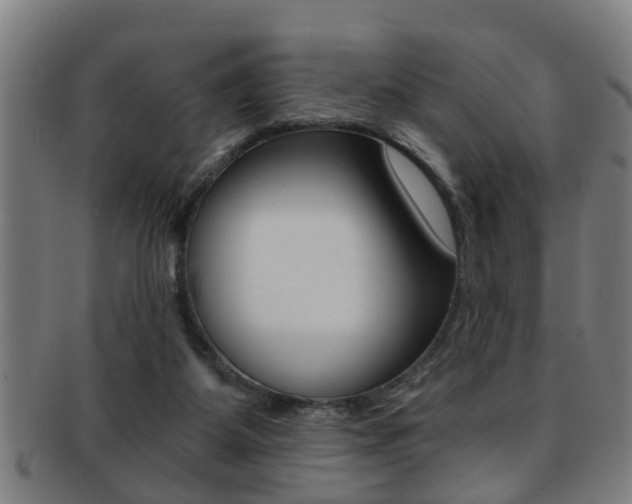X0000091880115200709051022