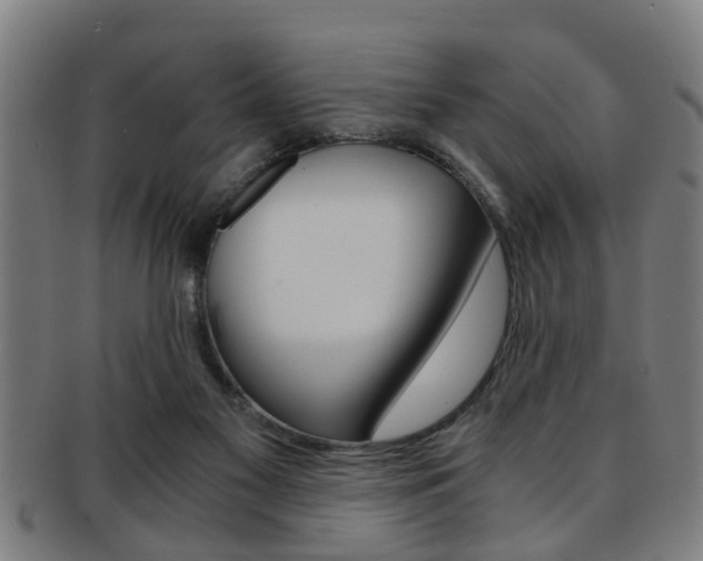 X0000091880117200709051022