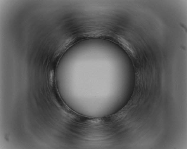 X0000091880118200709051022