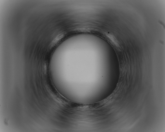 X0000091880120200709051022
