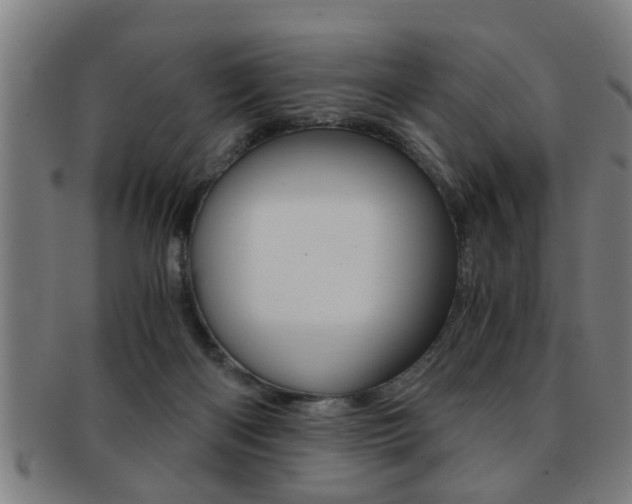 X0000091880122200709051022