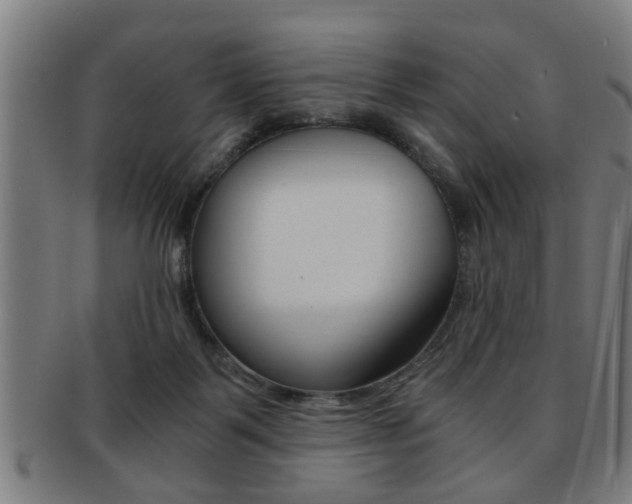 X0000091880123200709051022