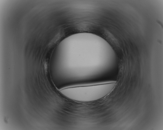 X0000091880124200709051022