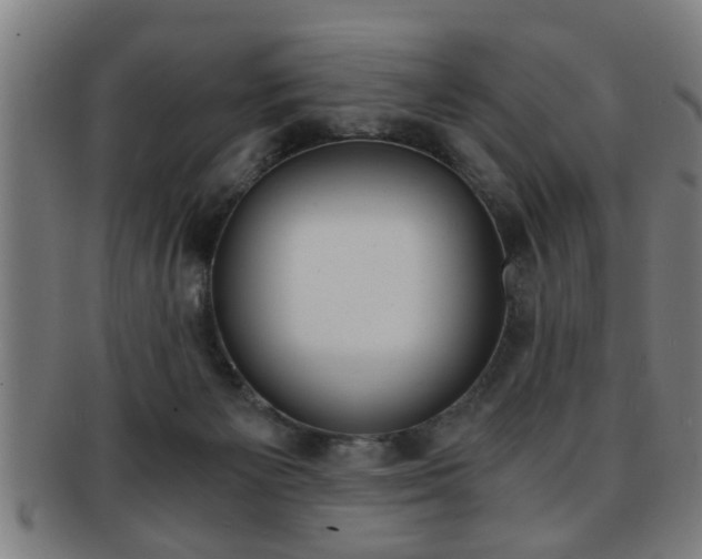 X0000091880125200709051022
