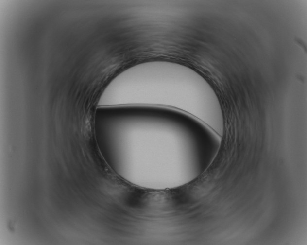 X0000091880127200709051022