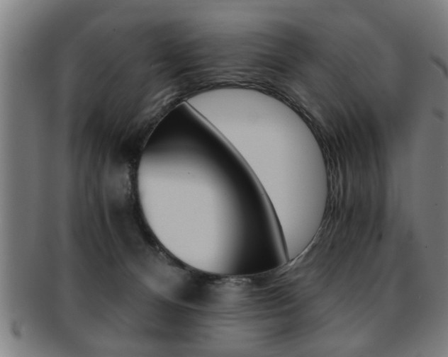 X0000091880128200709051022