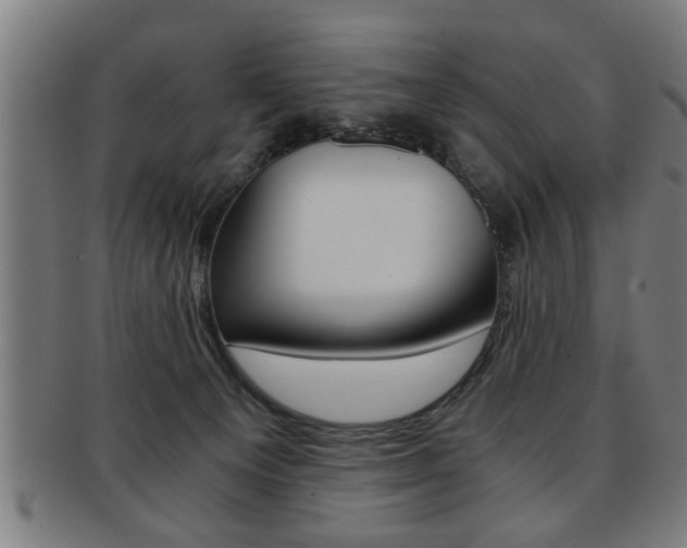 X0000091880129200709051022