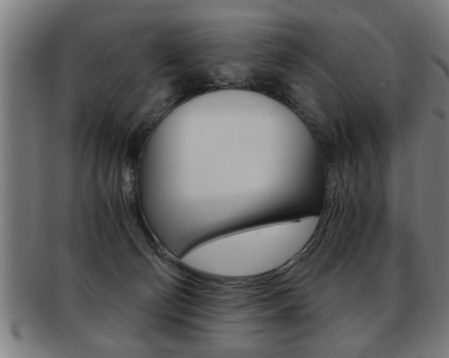 X0000091880130200709051022