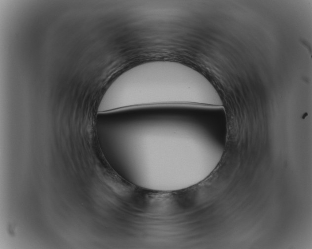 X0000091880132200709051022