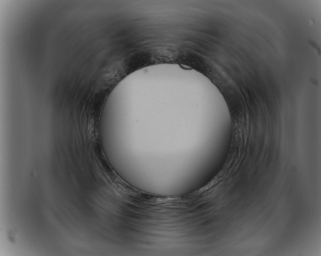 X0000091880134200709051022