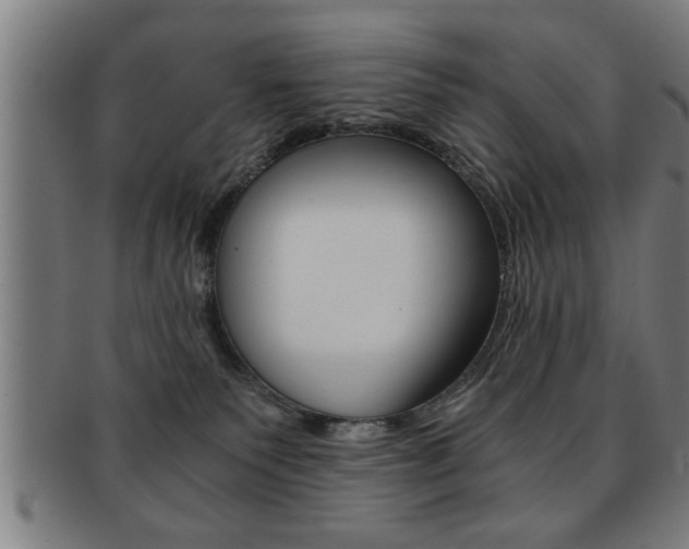 X0000091880135200709051022