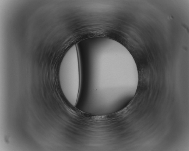 X0000091880136200709051022