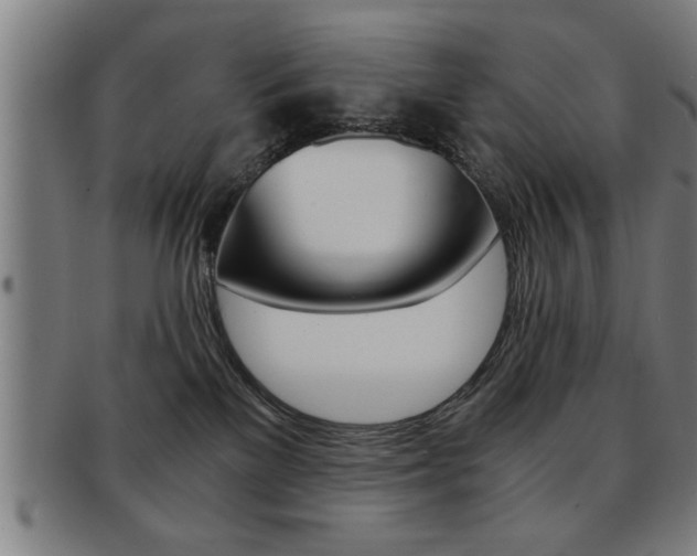 X0000091880137200709051022