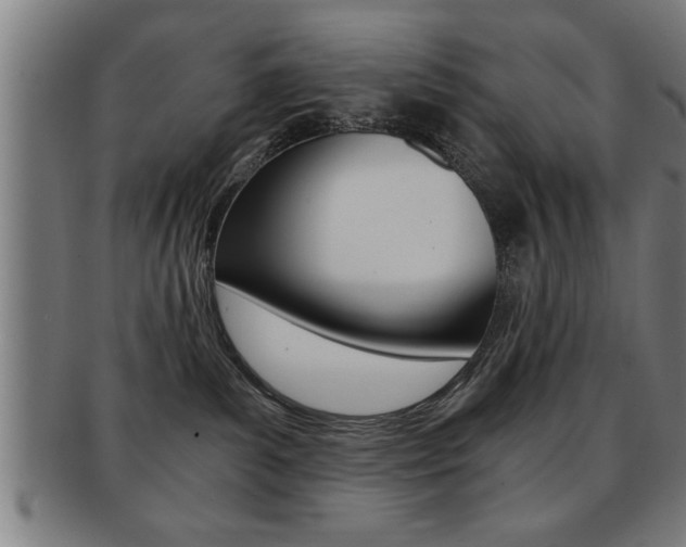 X0000091880139200709051022