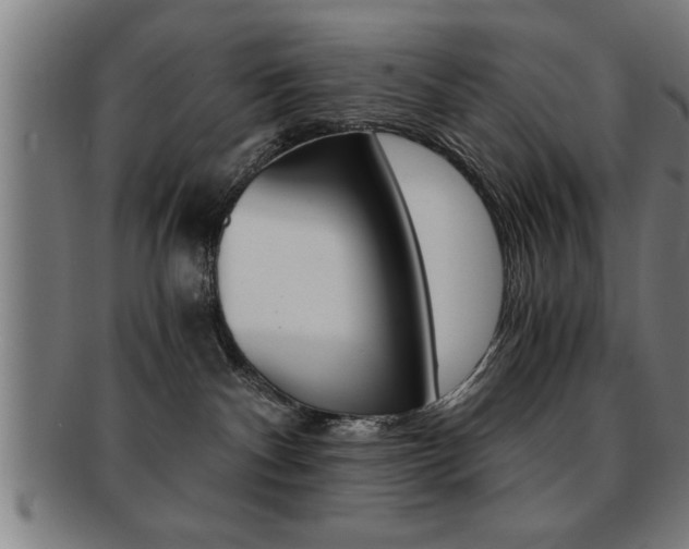 X0000091880140200709051022