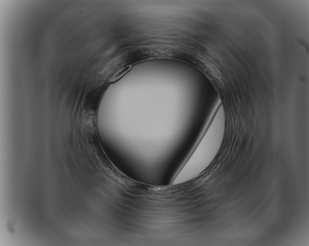 X0000091880141200709051022
