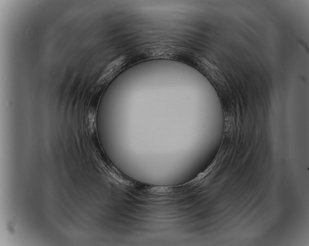 X0000091880142200709051022