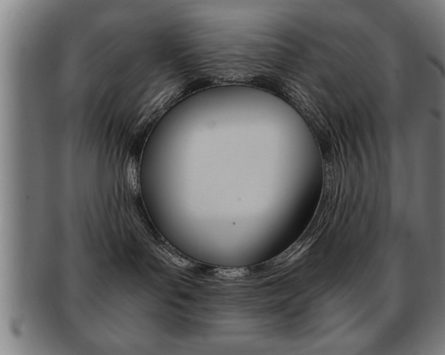 X0000091880143200709051022