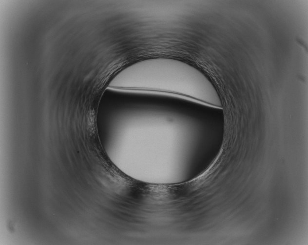 X0000091880144200709051022