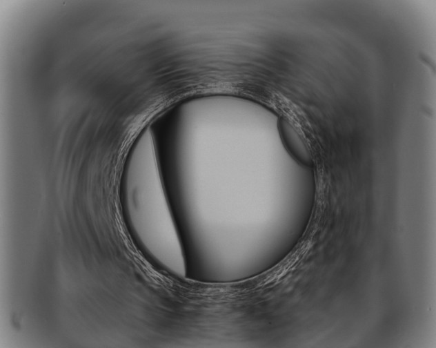 X0000091880145200709051021