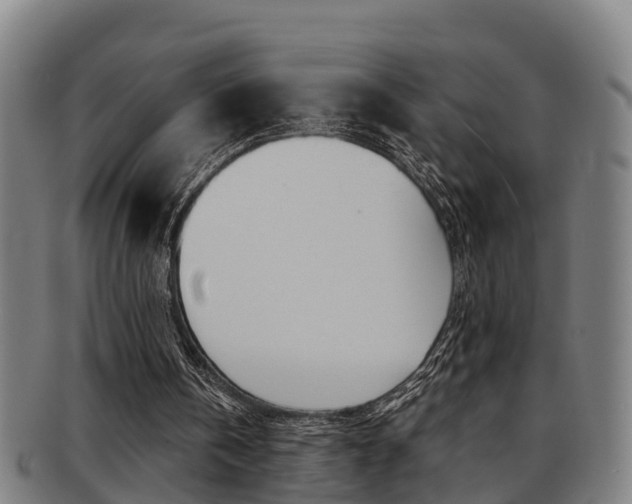 X0000091880146200709051021