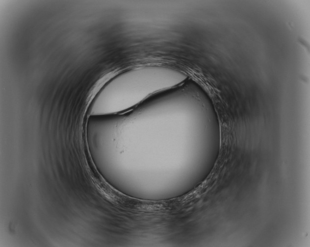 X0000091880147200709051021