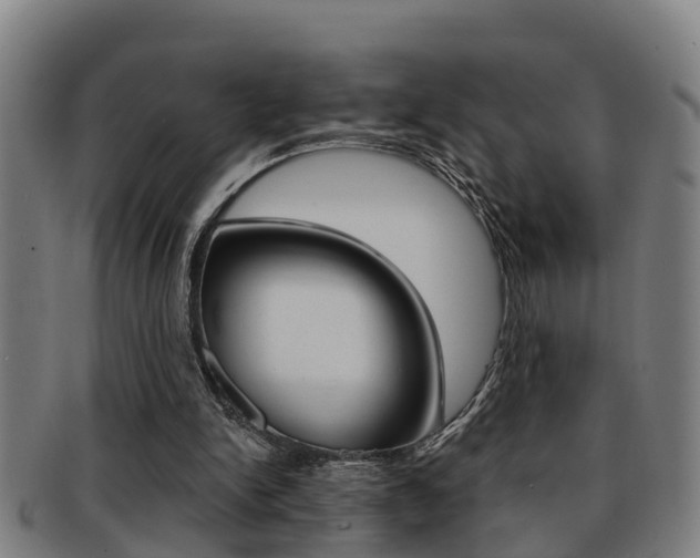 X0000091880150200709051021