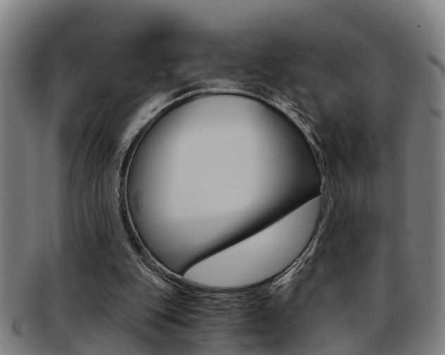 X0000091880151200709051021