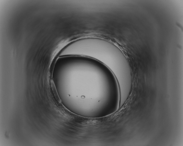 X0000091880152200709051021