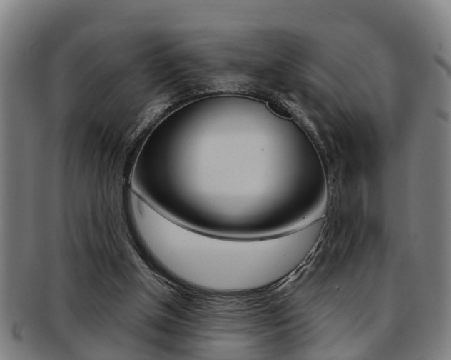 X0000091880154200709051021