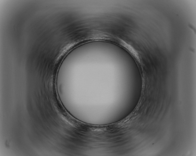 X0000091880155200709051021
