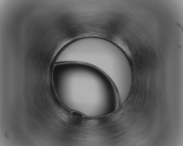 X0000091880156200709051021