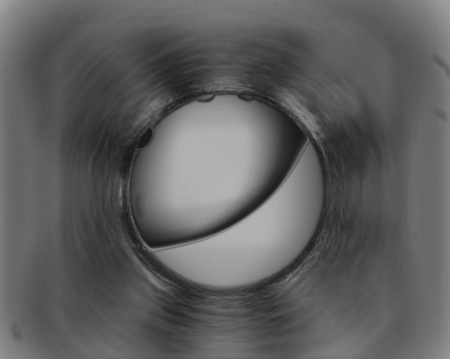 X0000091880157200709051021