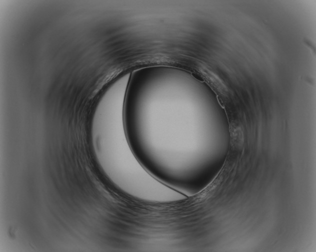 X0000091880158200709051021