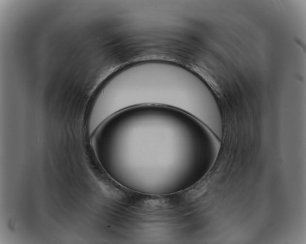 X0000091880160200709051021