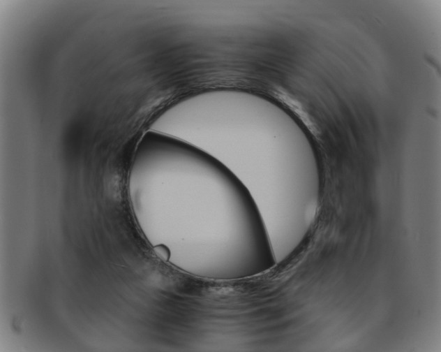 X0000091880161200709051021