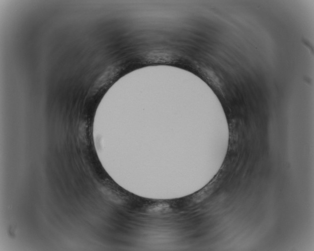 X0000091880162200709051021