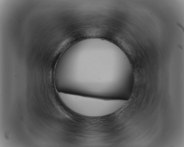 X0000091880163200709051021