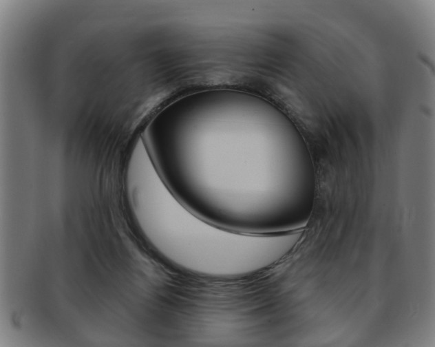 X0000091880164200709051021