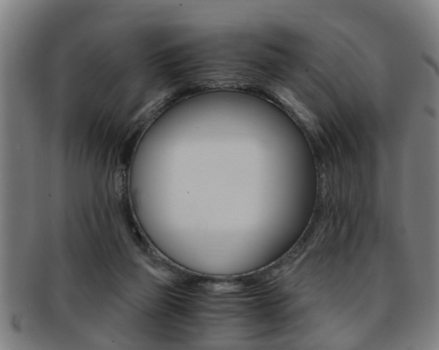 X0000091880165200709051021