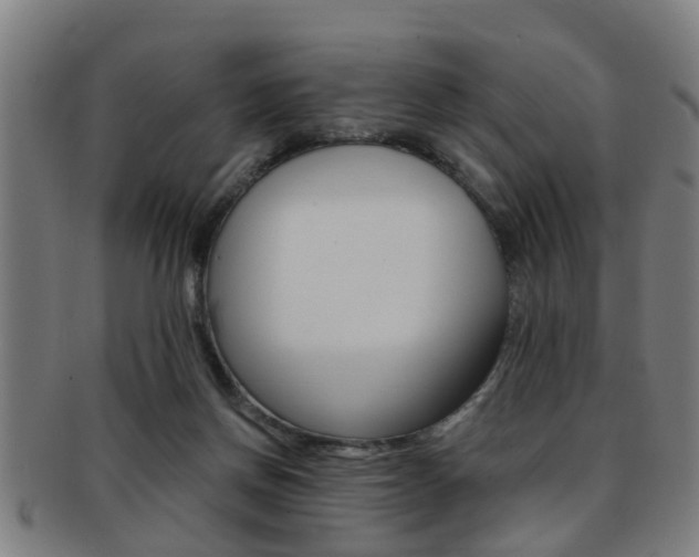 X0000091880166200709051021