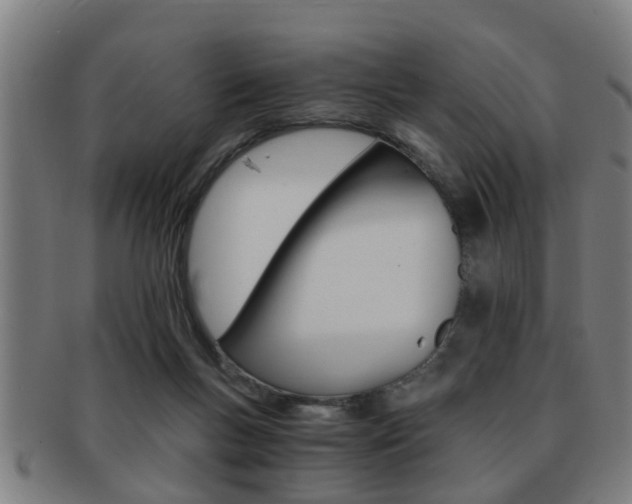 X0000091880167200709051021