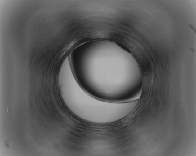 X0000091880168200709051021